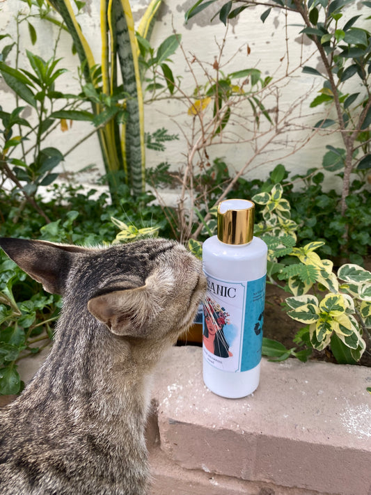 Herbal Hair Shampoo